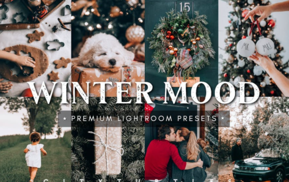 [Creativemarket] Winter Mood Holiday Lightroom Pre_0.png
